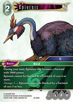 22-039C Epiornis