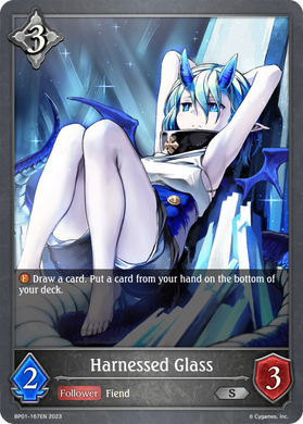 BP01-167EN Harnessed Glass