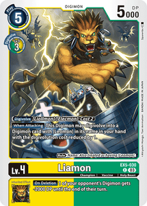 EX5-030 Liamon