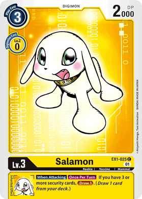 EX1-025 Salamon
